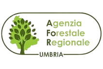 Agenzia Forestale regionale