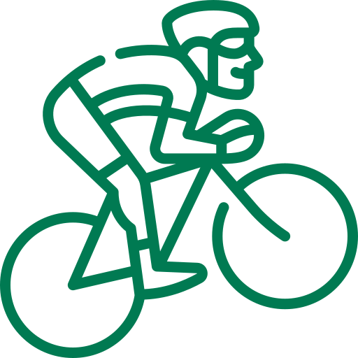 Icona di Sport